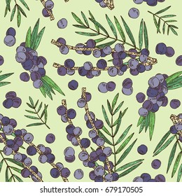 Patrón sin fisuras con bayas de acai y palma. Supercomida. Vector dibujado a mano ilustración