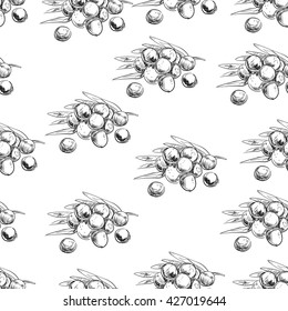 Seamless pattern of acai. Vector illustration. Trendy hand drawn background
