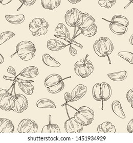 Seamless pattern with acerola: fruit, leaves and acerola slice. Barbados cherry. Vector hand drawn illustration