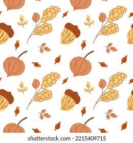 Seamless pattern with acorns, rose hip, physalis, snowberry. Perfect for wallpaper, gift paper, pattern fills, web page background, autumn greeting cards.