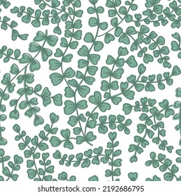 Seamless pattern with Adiantum leaves on white. Fairy fern endless background
