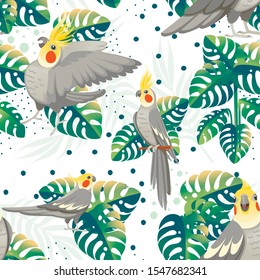 Nahtlose Muster von ausgewachsenen Papagei aus normalgrauem Cockatiel (Nymphicus hollandicus, Corella) und tropisch grünen Blättern Cartoon-Vogeldesign flache Vektorillustration auf weißem Hintergrund