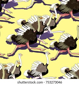 seamless pattern the African bird ostrich is running race in the desert vector illustration