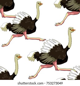 seamless pattern the African bird ostrich is running vector illustration