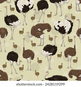 Seamless pattern with African ostrich. Large wild birds of Africa. Realistic vector animal