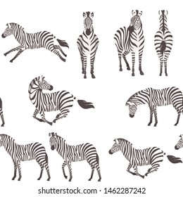 Seamless pattern of african zebra side and front view cartoon animal design flat vector illustration on white background