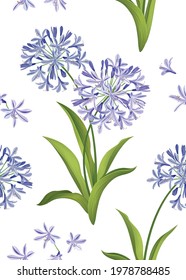 Seamless pattern of Agapanthus flower or African lily background template. Vector floral element set for wedding invitations, greeting card, brochure, banners and fashion design. svg