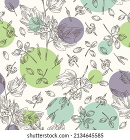 Seamless pattern with alangium chinense: alangium plant, leaves, alangium chinense flowers and berries. Cosmetic, perfumery and medical plant. Vector hand drawn illustration