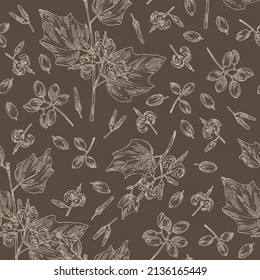 Seamless pattern with alangium chinense: alangium plant, leaves, alangium chinense flowers and berries. Cosmetic, perfumery and medical plant. Vector hand drawn illustration