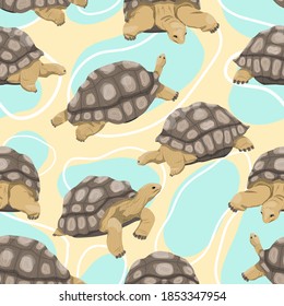 Seamless pattern. Aldabra giant tortoise in various poses. Aldabrachelys gigantea. An animal of the islands of the Pacific Ocean. Realistic vector animal