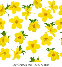 A seamless pattern of Allamanda isolated on white background. vector illustration.