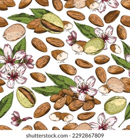 Seamless pattern with almond nut, leaves and flowers sketch style, vector illustration on white background. Decorative design for wrapping and packaging, natural organic plants