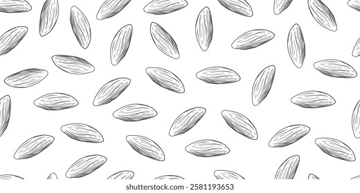 Seamless pattern with almonds in sketch style. Black and white engraved almond isolated on white background. Background with hand drawn nuts