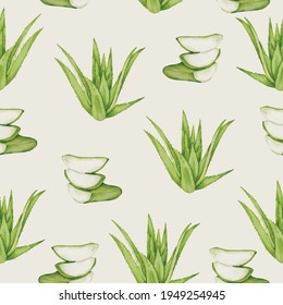 Seamless pattern with Aloe vera, full and stack of cut into pieces, Drawing background with flat vector illustration