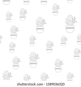 Seamless pattern with aloe vera plant in a pot on a white background, vector illustration, hand drawn.