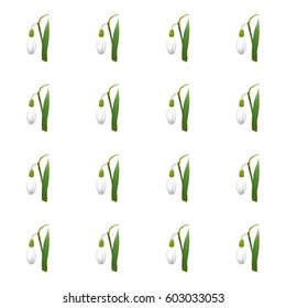 Seamless pattern with alone snowdrop flowers with green stems and leaves same sizes. White background. Vector