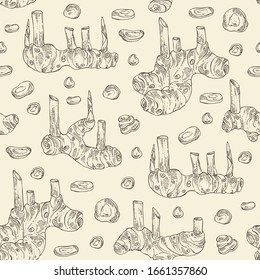 Seamless pattern with alpinia galanga: large galangal root and leaves. Vector hand drawn illustration.