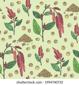 Seamless pattern with amaranth: plant , leaves and amaranth grains. Amaranthus caudatus. Vector hand drawn illustration.