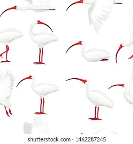 Seamless pattern of american white ibis flat vector illustration cartoon animal design white bird with red beak on white background side view