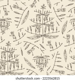 Seamless pattern with andrographis paniculata: andrographis paniculata plant, leaves and andrographis paniculata flowers. Cosmetic and medical plant. Vector hand drawn illustration.