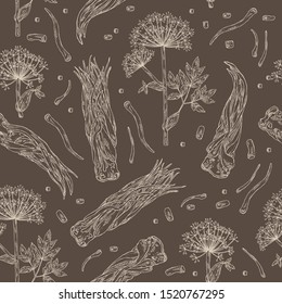 Seamless pattern with angelica sinensis: angelica root and plant. Cosmetic and medical plant. Vector hand drawn illustration.