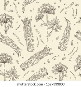 Seamless pattern with angelica sinensis: angelica root and plant. Cosmetic and medical plant. Vector hand drawn illustration.