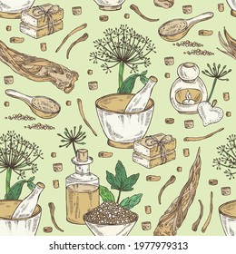 Seamless pattern with angelica sinensis: angelica root and plant. Oil, soap and bath salt . Cosmetics and medical plant. Vector hand drawn illustration