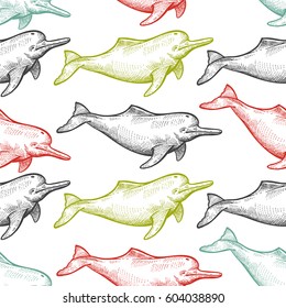 Seamless pattern with animals South America river dolphin. Hand drawing of wildlife. Vector illustration art. Black, white, green, blue and red. Vintage. Design for fabrics, paper, textiles, fashion.