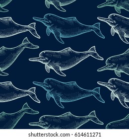 Seamless pattern with animals South America river dolphin. Hand drawing of wildlife. Vector illustration art. Navy blue background, white sketch. Vintage. Design for fabrics, paper, textiles, fashion.