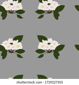 Patrón sin foco con flores de Apple en un fondo azul-gris.