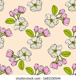 Seamless pattern with apple flowers and leaves. Vector illustration.