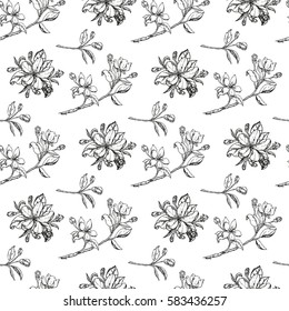 seamless pattern of apple flowers with leaves. Vector nature botanical illustration.