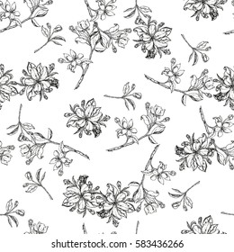 seamless pattern of apple flowers with leaves. Vector nature botanical illustration.
