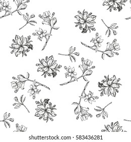 seamless pattern of apple flowers with leaves. Vector nature botanical illustration.