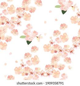Seamless pattern with apple tree flowers on a white background