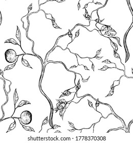 Seamless pattern of apples with branch. Hand drawn vector illustration. Autumn fruits sketches background in vintage style. Monochrome design for wallpaper, print, card, texture, textile, wrap, fabric