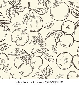 Seamless pattern with apples, vector. Fruits whole and halves, on a branch and leaves. Hand drawing sketch. Background vintage style. Hand engraving