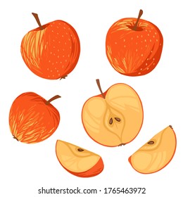 Seamless pattern of apples whole halved and sliced pieces. Flat vector illustration on white background
