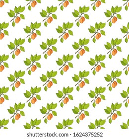 Seamless pattern with apricot branches with fruits and leaves. Vector illustration