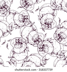 Seamless pattern apricot. Vector hand-drawn illustration.