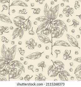 Seamless pattern with ardisia japonica: leaves, ardisia japonicaberries and ardisia plant. Oregano. Herbs and spices. Cosmetic, perfumery and medical plant. Vector hand drawn illustration.