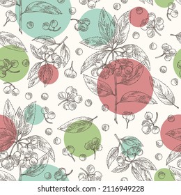 Seamless pattern with ardisia japonica: leaves, ardisia japonicaberries and ardisia plant. Oregano. Herbs and spices. Cosmetic, perfumery and medical plant. Vector hand drawn illustration.