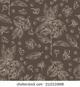 Seamless pattern with ardisia japonica: leaves, ardisia japonicaberries and ardisia plant. Oregano. Herbs and spices. Cosmetic, perfumery and medical plant. Vector hand drawn illustration.