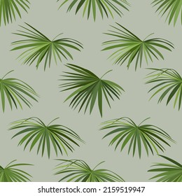 Seamless pattern areca plam leaf tropical leaves on Pale green color background.printing wallpaper.vector illustration
