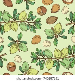 Seamless pattern with argan: leaves and argan nuts. Cosmetic and medical plant. Vector hand drawn illustration.