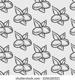 Seamless pattern of argan vector drawing nut oil, fruit, berry, plant. Hand drawn engraved vector sketch etch illustration. Ingredient for hair and body care butter, beauty and spa lotion.
