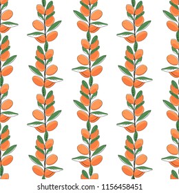 Seamless pattern of argan. Vector illustration for background.