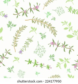 Seamless pattern with aromatic herbs. Different spice plants. Soft tender background cooking theme. Vector file is EPS8.