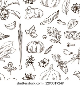 Seamless pattern with aromatic plants sketch. Hand drawn herbs and spices. Vector illustration.
