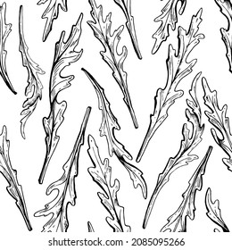 Seamless pattern - arugula collection. Hand drawn outline  illustration of arugula. Arugula leaves for salad. Eco-friendly products. Handwritten graphic technique